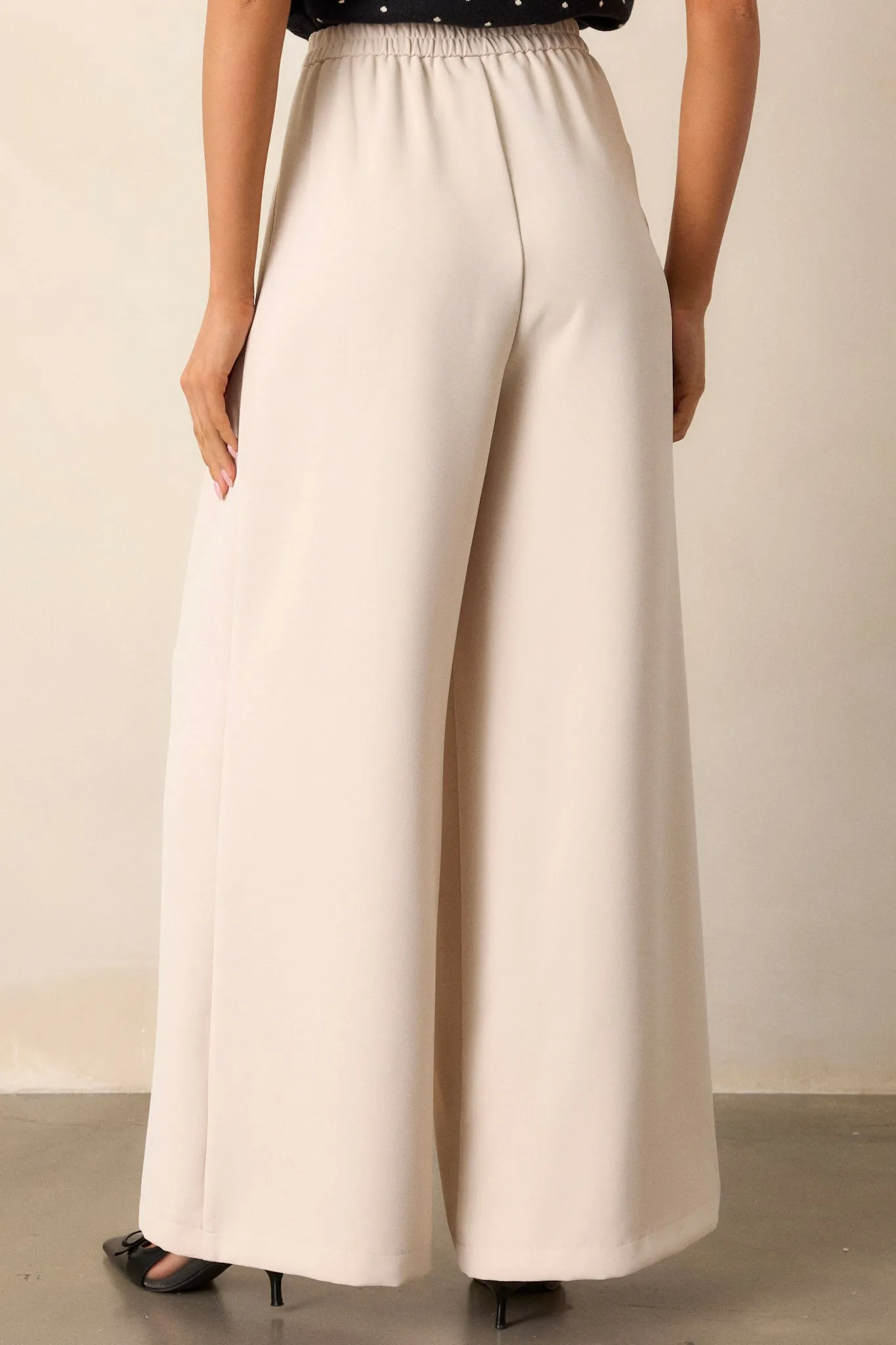 Willow Tree Light Taupe Wide Leg Pants