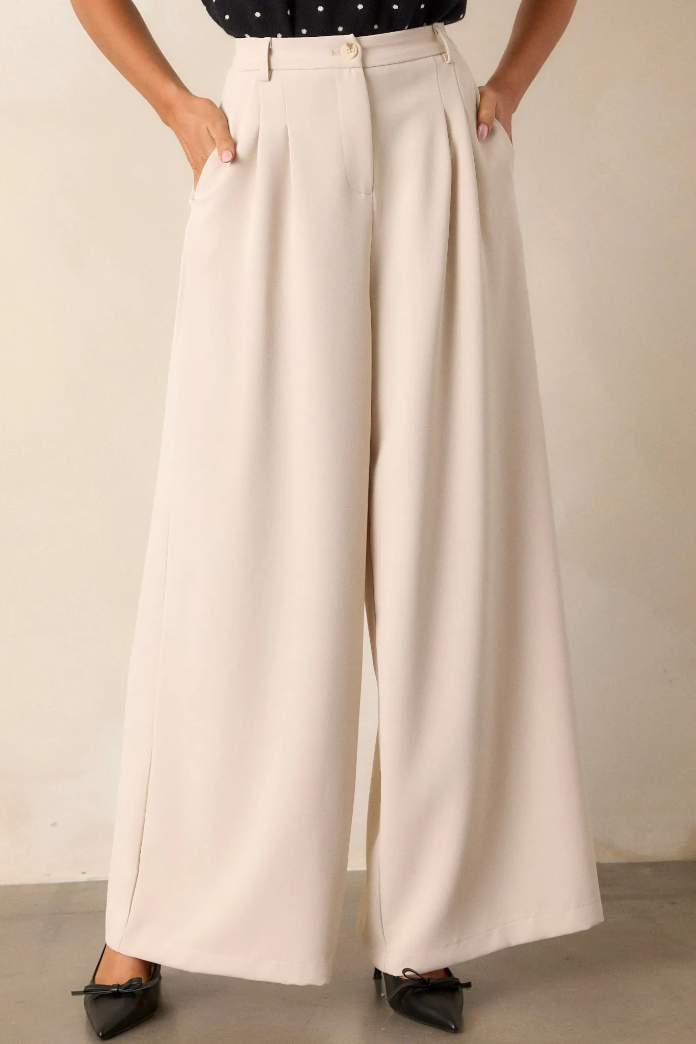 Willow Tree Light Taupe Wide Leg Pants